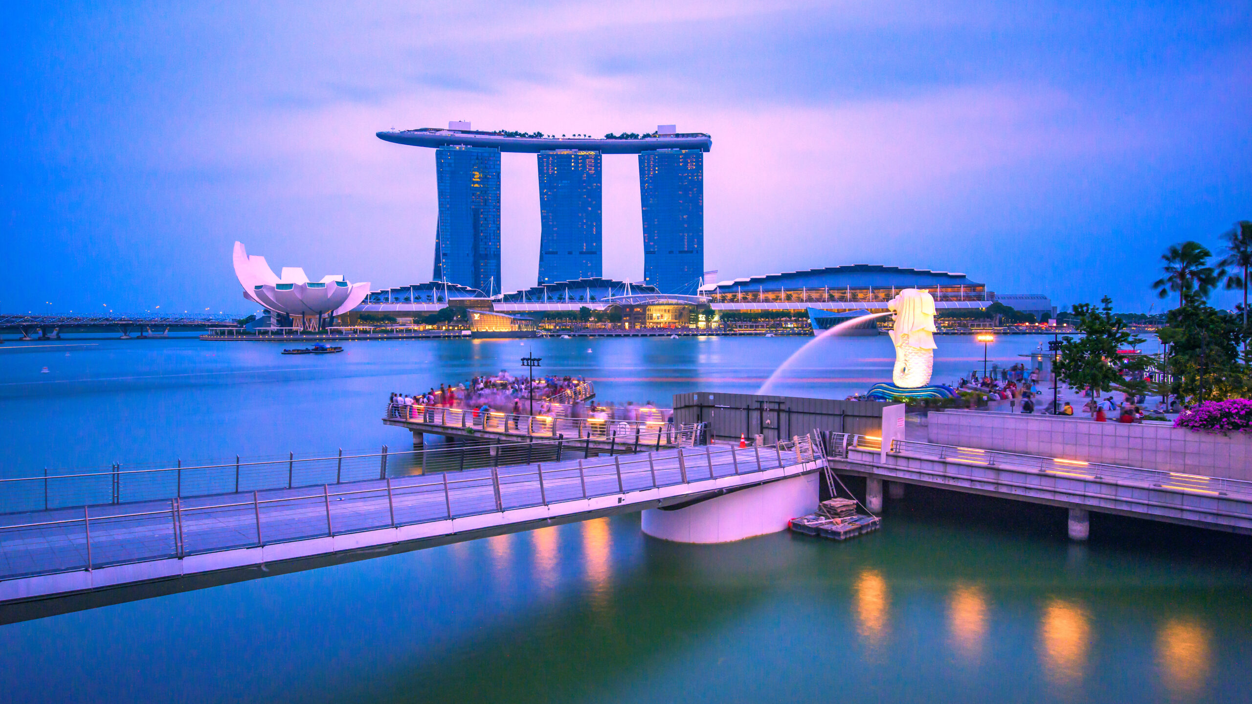 Panorama view of the marina in singapore at night with the iconi